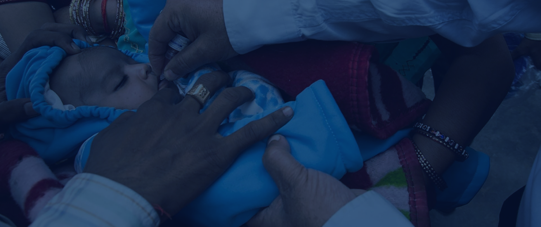 Hep Birlikte Barışı Yeşertiyoruz